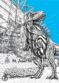 Image 2 of 'St James' Park' - Newcastle - NUFC