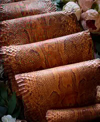 Image 3 of Vintage Python Skin 