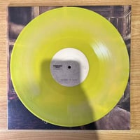 Image 2 of HOLE DWELLER - Returns to Roost - LP
