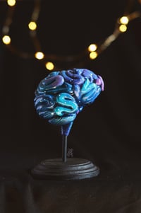 Image 1 of Galaxy brain 2