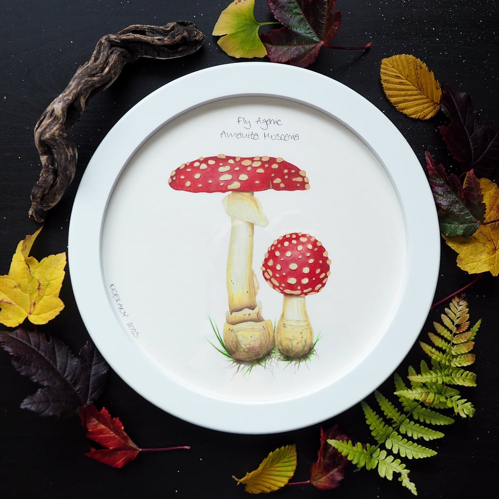 Image of Exclusive Framed Original Fly Agaric Mushroom Drawing Glows Under UV Light