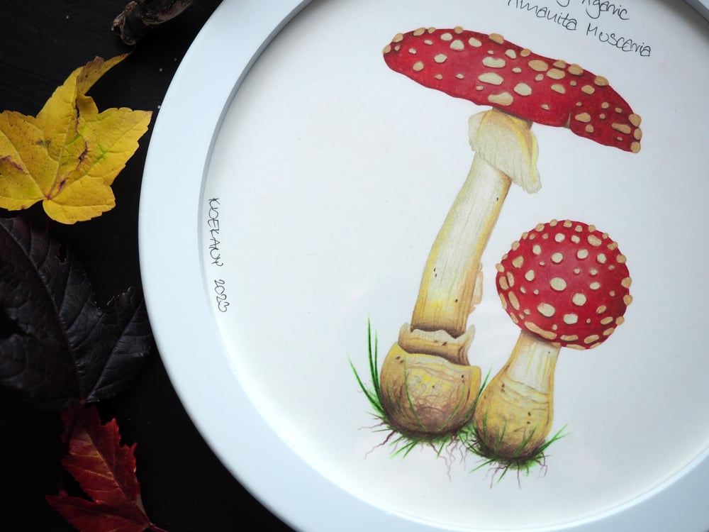 Image of Exclusive Framed Original Fly Agaric Mushroom Drawing Glows Under UV Light