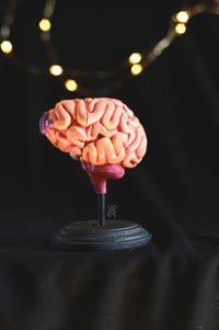 Image 1 of Natural brain