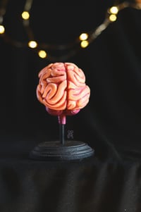 Image 4 of Natural brain