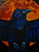 Image 5 of "The Raven"