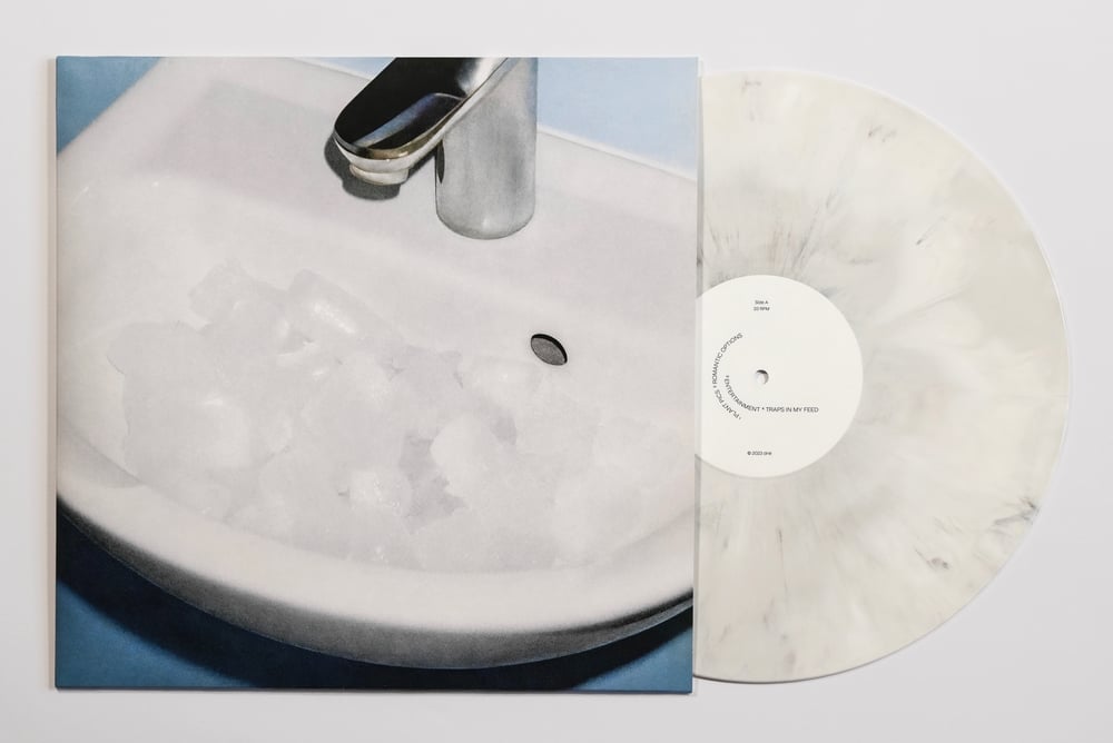Image of Basic Living Vinyl