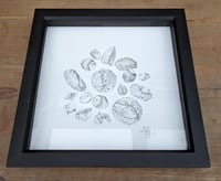 Image 4 of Nuts Original Ink Drawing