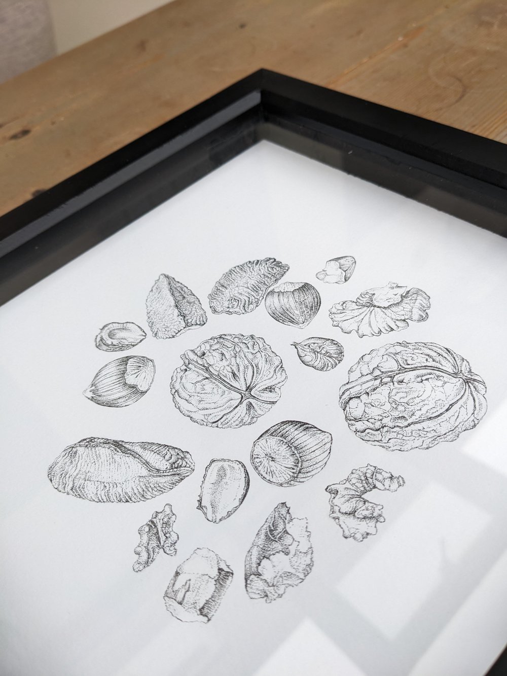 Image of Nuts - Original Ink Drawing