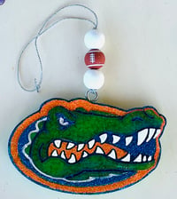 Gator Football  Freshie