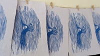 Image 5 of Dreaming in the Undertow 