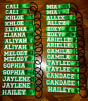 Pair of Pom Pom Name Tags