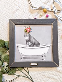 Donkey in the Bathtub with Pink Flowers