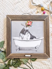 Cow in the Bathtub with Pink Flowers