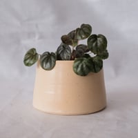 Image 1 of 2" Peach Planter