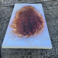 Image 1 of 063-Red mallee Burl &amp; Ghost blue pearl