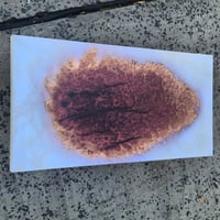 Image 2 of 063-Red mallee Burl &amp; Ghost blue pearl