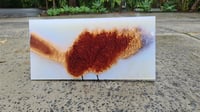 Image 4 of 053-Red mallee burl and Ghost Blue Pearl Charcuterie Board