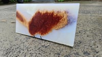 Image 1 of 053-Red mallee burl and Ghost Blue Pearl Charcuterie Board