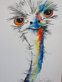 Ernie the Emu