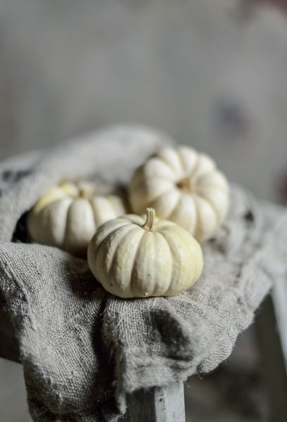 Image of Les coloquintes