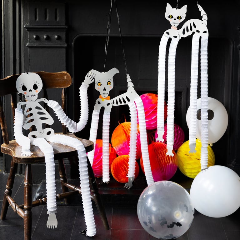 DUO DE SQUELETTES CHAT & CHIEN POUR HALLOWEEN Image 4
