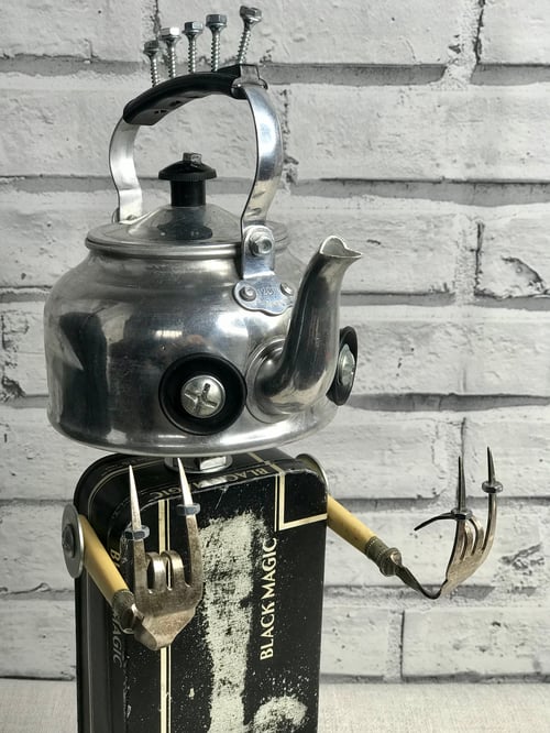 Image of Punk Rock Robot