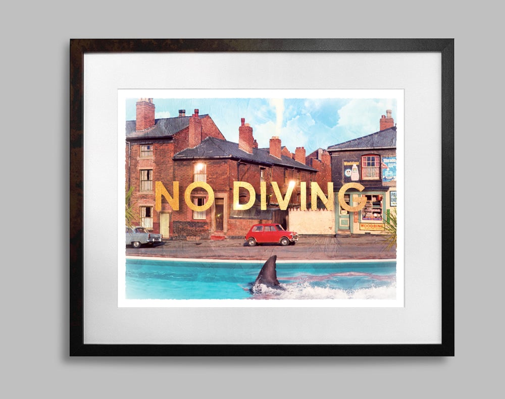 Image of No Diving