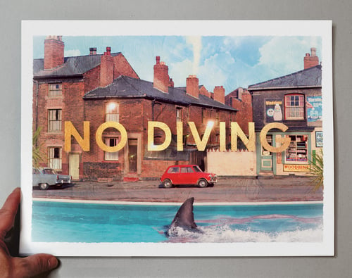Image of No Diving