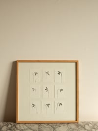 Image 1 of Snowdrop Studies - Framed Original Monoprint - 40cm x 40cm