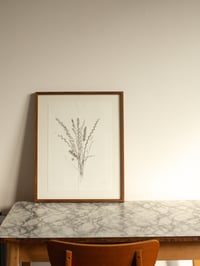 Image 2 of Grass Bunch - Original Framed Monoprint - 40cm x 50cm
