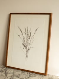 Image 4 of Grass Bunch - Original Framed Monoprint - 40cm x 50cm