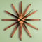 Image of Bourbon Barrel Sunburst Wall Clock