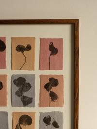 Image 2 of Sweet Peas From The Garden - Original Framed Monoprint - 30cm x 40cm