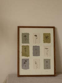 Image 2 of Flower Studies - Original Framed Monoprints - 30cm x 40cm