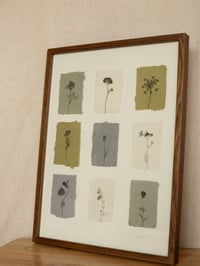 Image 4 of Flower Studies - Original Framed Monoprints - 30cm x 40cm