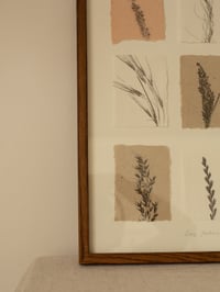 Image 2 of Grass Studies - Original Framed Monoprints - 30cm x 40cm 