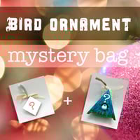 Mystery Bag of Bird Ornaments – Holiday 2025 Version