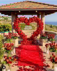 Image 1 of Red Heart flower backdrop 
