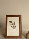 Grass 08 Mini - Original Framed Monoprint - 10cm x 15cm 