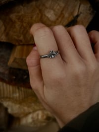 Seeing eye ring