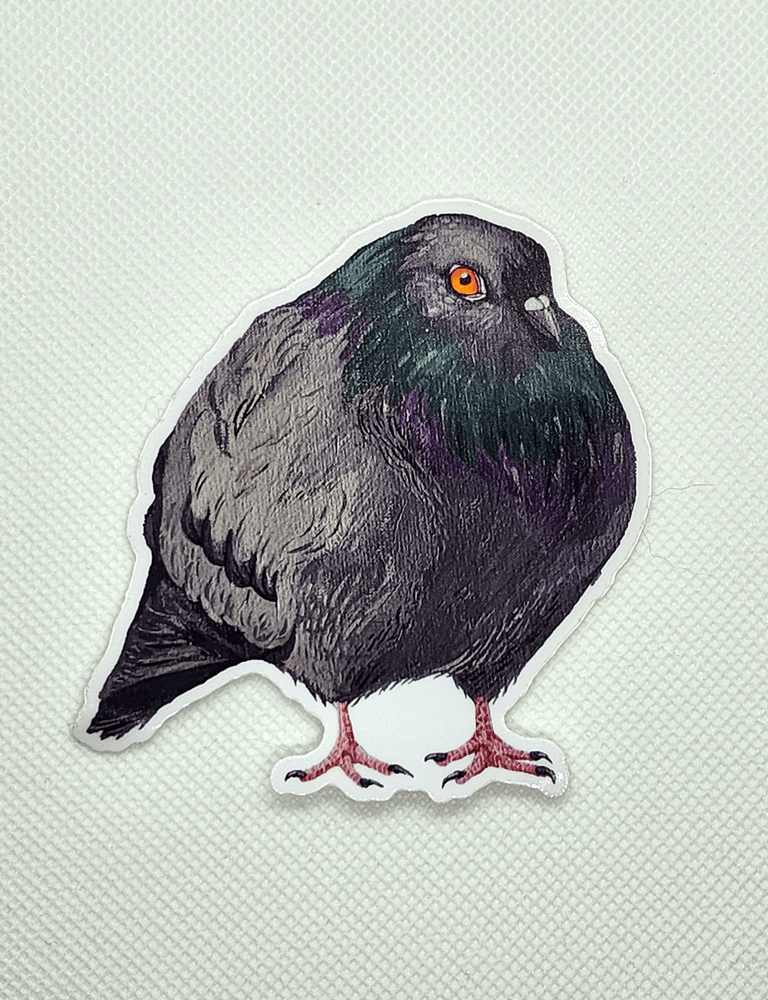 Image of Borb Pigeon Sticker