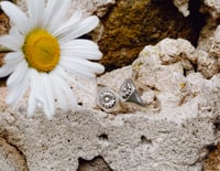 Image 5 of Daisy Signet 