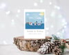Christmas Swim