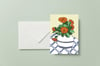 Flower Greeting Cards - Pack of x6 