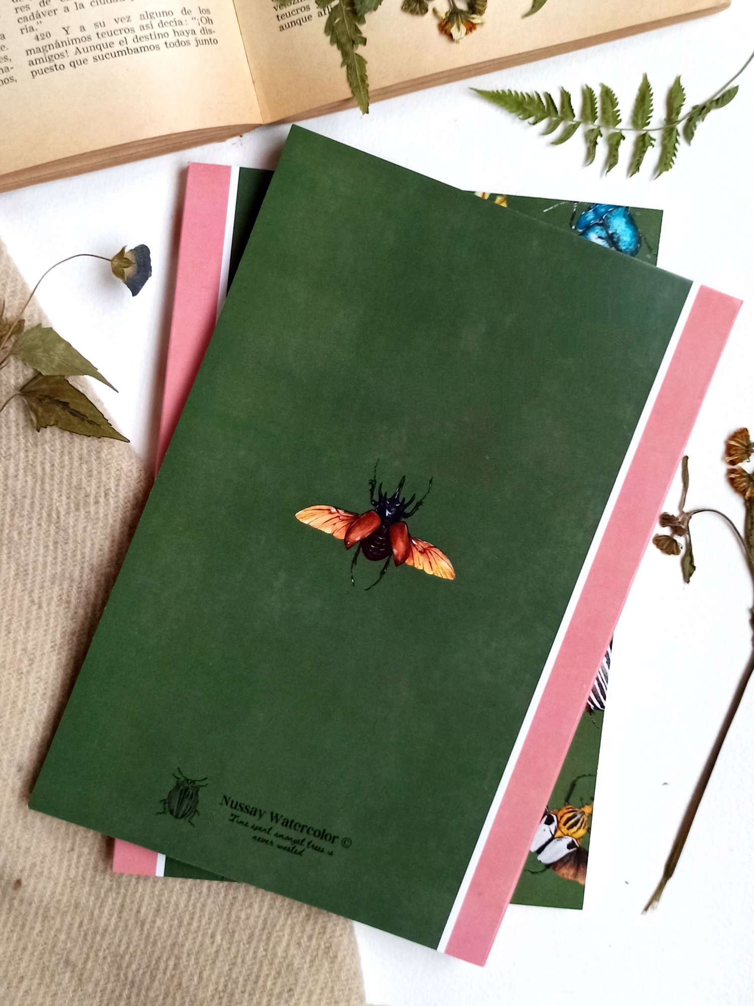 Image of Insect Journal 