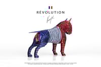 Image 3 of The Guardian® Révolution - Mini Edition