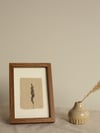 Grass Grey Mini - Original Framed Monoprint - 10cm x 15cm