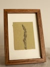 Grass Green Mini - Framed Botanical Monoprint - 10cm x 15cm