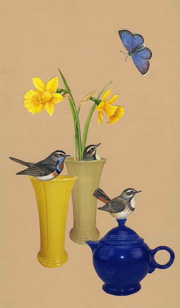 Image of Still life with bluethroats. original collage