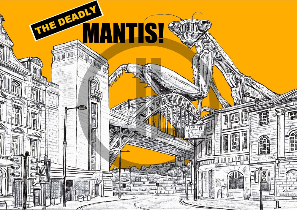 'The Deadly Mantis' - Newcastle